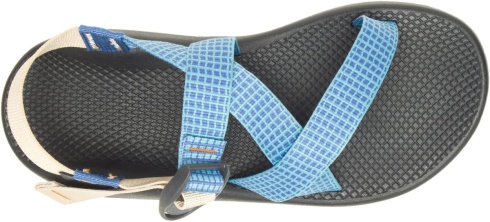 Chacos Men's Z/1 Classic Harvest Collection Federal Blue Fashion
