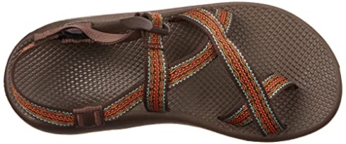 Chacos Men's Zcloud 2 Sandal Essence Java