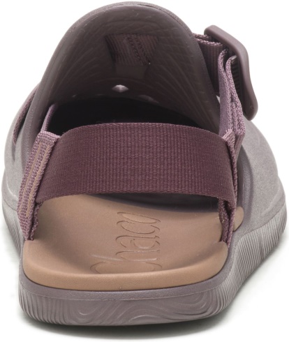 Chacos Sparrow Women's Chillos Clog