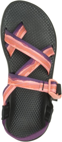 Chacos Women's Lowdown Slide Roasted Sky