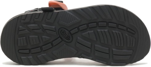 Chacos Women's Lowdown Slide Roasted Sky