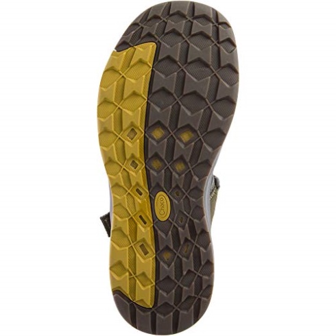 Chacos Women's Odyssey Print