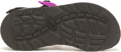 Chacos Women's Z/Cloud Dragon Fruit Fuchsia