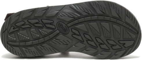 Essence Java Men's Z/1 Classic Chacos