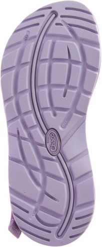 Lavender Frost Women's Z/1 Classic Chacos