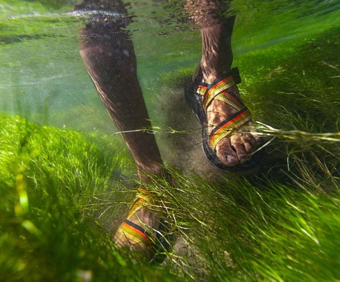 Men's Mega Z/Cloud Chacos Split Gray