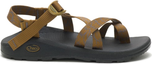 Men's Z/Cloud 2 Aerial Bronze Chacos
