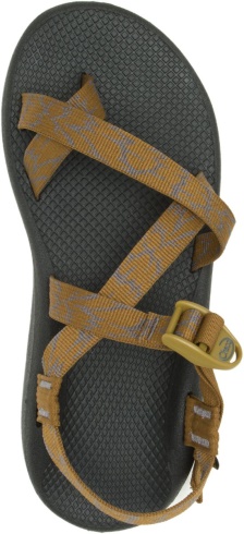Men's Z/Cloud 2 Aerial Bronze Chacos