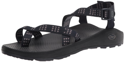 Men's Zcloud 2 Sandal Chacos