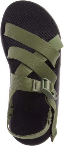 Moss Lichen Men's Z/1 Classic Chacos Fashion