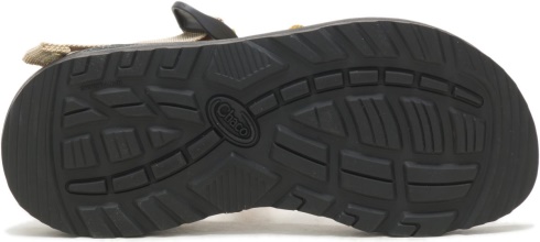 Narcissus Chacos Women's Z/1 Classic