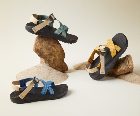 Narcissus Chacos Women's Z/1 Classic