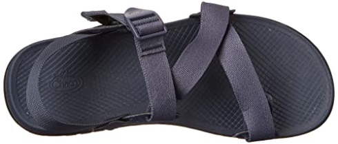 Storm Blue Men's Lowdown 2 Sandal Chacos