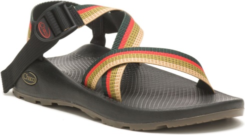 Tetra Moss Chacos Men's Z/Cloud Wide Width