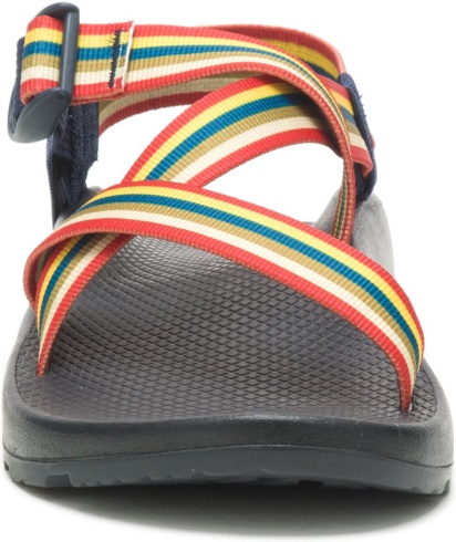Wild Ride Amber Chacos Men's Z/Cloud