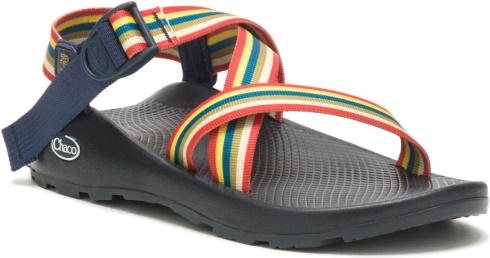 Wild Ride Amber Chacos Men's Z/Cloud