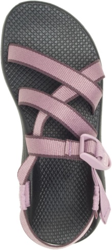 Women's Banded Z/Cloud Outskirt Elderberry Chacos