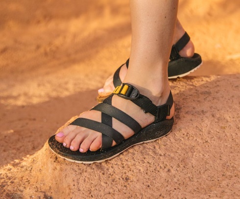 Women's Banded Z/Cloud Outskirt Elderberry Chacos