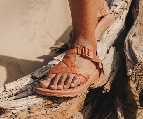 Women's Z/2 Classic Burnt Umber Chacos