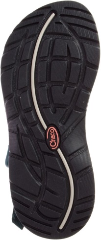 Women's Z/2 Classic Chacos Warren Pine