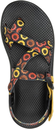 Women's Z/2 Classic Harvest Collection Chacos Sunflower Multi