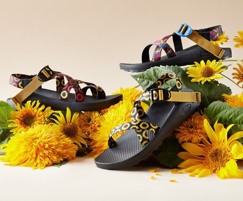 Women's Z/2 Classic Harvest Collection Chacos Sunflower Multi
